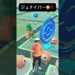 【ポケモンGO】ジュナイパーが現れた!!【✨Decidueye Pokémon GO X Pokemon Card Artwalk ✨】