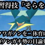 【ポケモンGO】GBL ハイパーリーグ〈クワガノン2〉クワガノンを何度でも作り直すクワガノンマスターがそらをとんでぶっ飛び世界一周