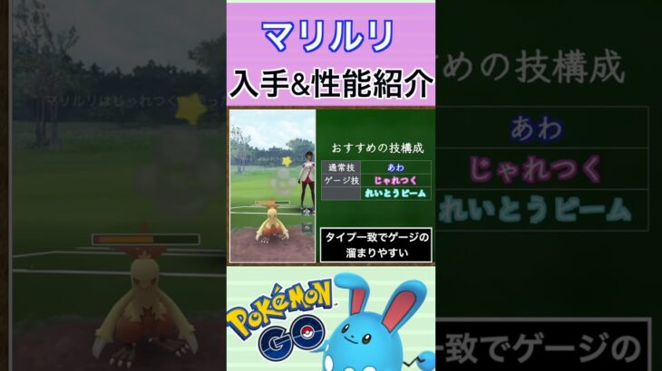 【ポケモンGO】GBLおすすめポケモン　マリルリの入手方法&性能紹介#shorts #pokemon #ポケモンgo