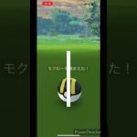 【ポケモンGO】モクロー色違いをGetから進化！！#shrots #ポケモン #ポケモンgo #pokemongo #色違い #モクロー#コミュニティデイ #つるっぱげたけちゃんのおやじちゃんねる