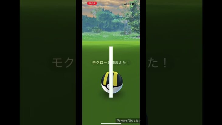 【ポケモンGO】モクロー色違いをGetから進化！！#shrots #ポケモン #ポケモンgo #pokemongo #色違い #モクロー#コミュニティデイ #つるっぱげたけちゃんのおやじちゃんねる