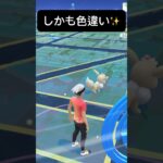 【ポケモンGO】色違いイーブイが現れた!!【✨Shiny Eevee Pokémon GO X Pokemon Card Artwalk✨】