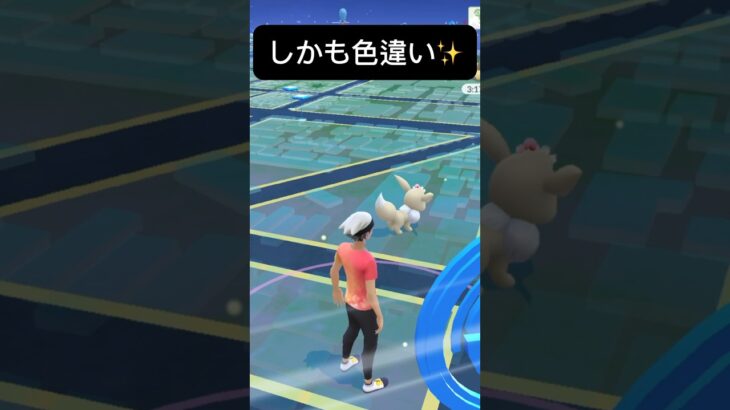 【ポケモンGO】色違いイーブイが現れた!!【✨Shiny Eevee Pokémon GO X Pokemon Card Artwalk✨】