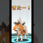 【ポケモンGO】念願のたそがれルガルガンゲット！#ポケモンgo #pokemongo #pokémongo #ポケモン