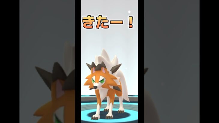 【ポケモンGO】念願のたそがれルガルガンゲット！#ポケモンgo #pokemongo #pokémongo #ポケモン