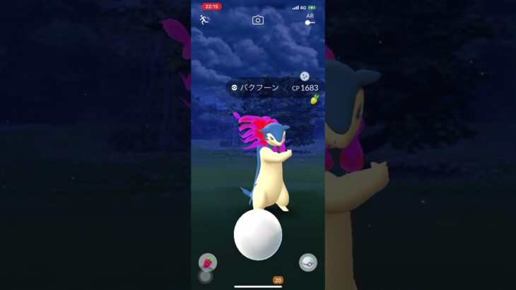 ポケモンGO❗️ヒスイ✨色違い🌟バクフーン出現😆inスイス🇨🇭