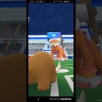 霊獣ランドロス初戦で色違い　#ポケモンGO　#ランドロス　#shorts