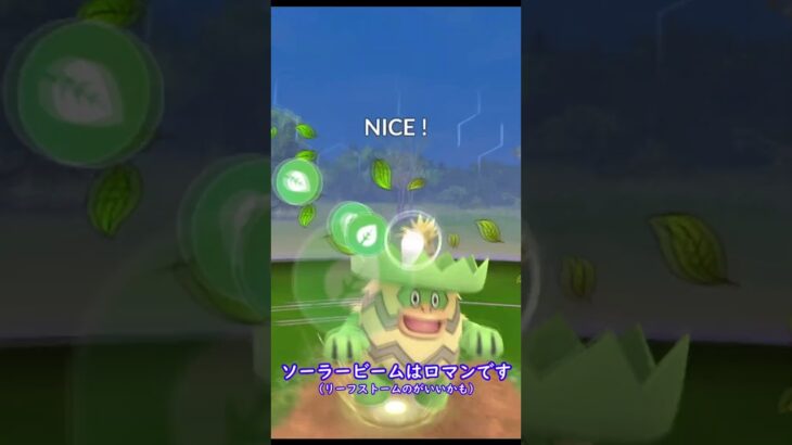 シャドウカイオーガ戦で活躍するポケモン【ポケモンGO】#shorts　#カイオーガ　#サカキ様