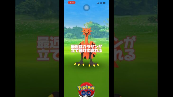 【ポケモンGO】最近ガラサンが頻繁に現れる説#shorts