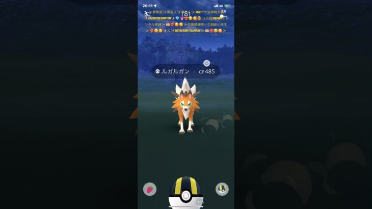 ✨【見逃し厳禁】【ポケモンGO】✨時刻２０時１１分✨激レア過ぎる✨ありえない野生出現✨🙈ルガルガンちゃんが〇〇〇だったよ笑顔幸せ感謝✨🐺🤲🏼❤️‍🔥☺️🥰✨　#youtubeshort