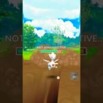 Whimsicott, Togetic & Perserker in Pokemon go Battle League 😱😱(part 2)#pokemongo