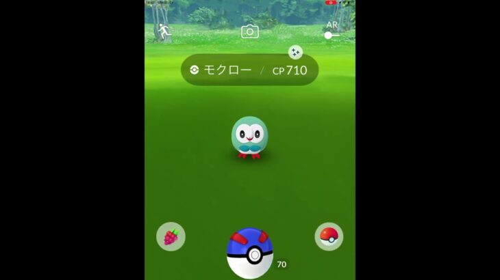 色違い　モクロー　#ポケモンgo色違い