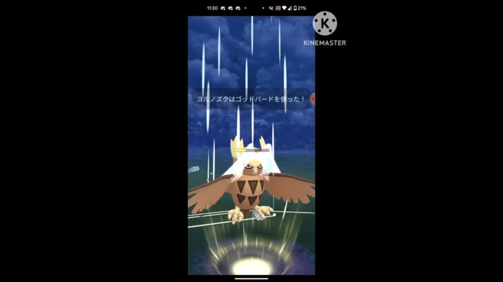 明日で縛りを撤廃しようと思います#ポケモンgo #ポケモンgoバトルリーグ