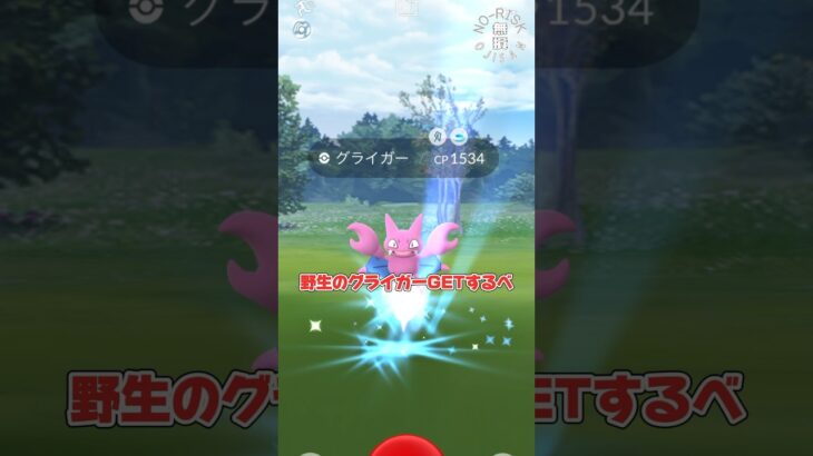 【グライガーは好き！】#ポケモンgo #ポケモン #pokémongo #pokémon #shorts #おもしろ動画 #ゲーム実況 #ゲーム #games #スマホ #アプリ #アルセウス#ガチャ