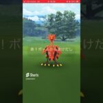 野生のガラルサンダー#ポケモンgo #ショート #shorts