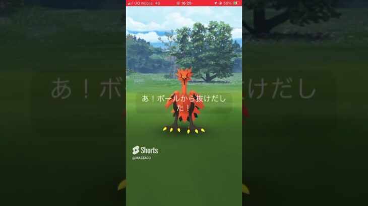 野生のガラルサンダー#ポケモンgo #ショート #shorts