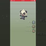 【新実装】ブロロン出た！【12キロ卵11連】#ポケモンgo