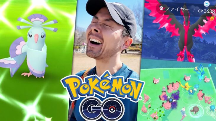 カーニバル？色違いオドリドリ「まいまい」を狙った3日間の結果が！！【ポケモンGO】【ポケモンGO】