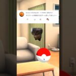 チピチャパ猫をGETするポケモンGOみたいなゲーム作ってみた🤣#きー坊ゲーム #猫ミーム #shorts