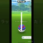 ＃ポケモンGO ＃コミュデイ で #ラッキー ＃色違い 捕まえます！