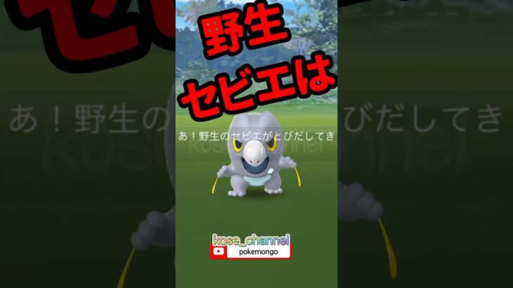 【ポケモンGO】グローバルチャレンジの野生ポケモンが熱い！ #こうせいちゃんねる #イベントに沿ったポケモン