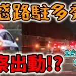 【ポケモンGO】迷惑路駐多発で警察出動案件!?埼玉の田舎で平日エピックレイドのリアルに迫ってきた！【ラブトロス】