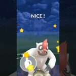 進化カップ【ポケモンGO】ヤルキモノ、ヌマクロー、トドグラー