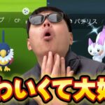 パチリスとペラップが大好きな男【ポケモンGO】