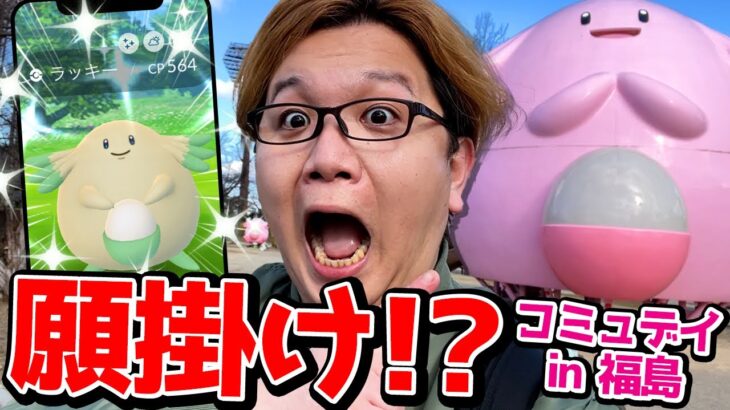 ラッキー聖地でラッキーコミュデイ!!!突撃したらおいおい最高かよぉぉぉぉぉ!!!!!【ポケモンGO】