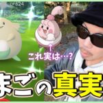 【ポケモンGO】幸せを運びます！ラッキーのコミュデイでたまごポケモンを解明せよ！色違えピンプク１４連チャレンジスペシャル！【ワイルドボルト】