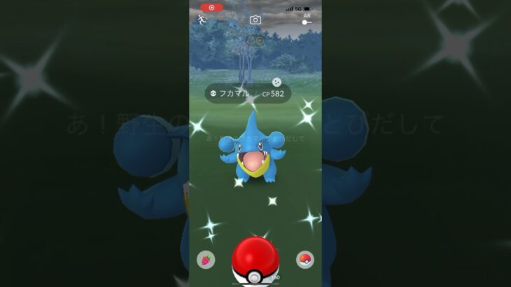 色違いフカマル！？ポケモンGO