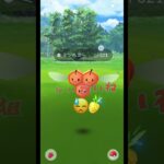 ポケモンGO 逃げる？逃げない？進化する？ #ポケモンgo #色違い #ミツハニー