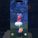 【ポケモンGO】バレンタインデー限定のラブトロス #shorts