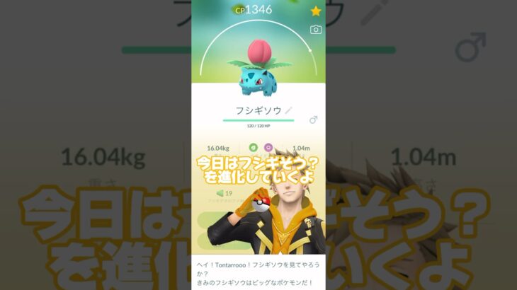 【ポケモンGO】フシギバナって火力が高いの？ ##shorts