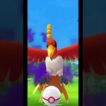 【ポケモンGO】 ホウオウ ～yutorin～