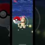 【ポケモンGO】今日のドーブルガチャ♯8