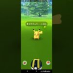 【ポケモンGO】ピカチュウGET！