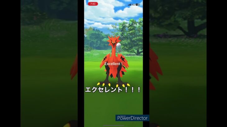 【ポケモンGO】Gサンダーゲットチャレンジ#ポケモンgo #ポケモン #shorts