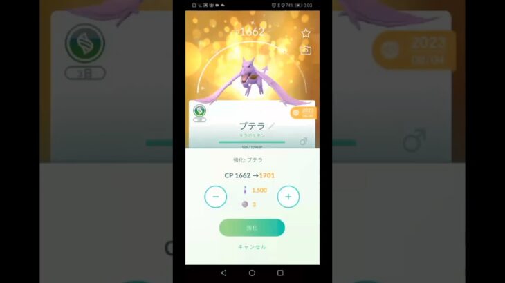 ポケモンGO　色違いかばんプテラをPL21からPL40まで強化をやってみた。