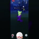 ポケモンGO❗️色違い🌟Sヒメグマ出現😆嬉しい〜✨🥳