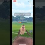 【ポケモンGO】悲報俺氏、バッ太郎カップの練習で悪統一でゴースト統一にフルボッコにされる(視聴者さん協力)#ポケモンgo #goバトルリーグ #ポケモン #shorts