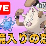 【生配信】今回から使えるオコリザルを試していくぞ！  Live #999【進化カップ】【GOバトルリーグ】【ポケモンGO】