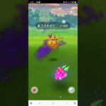 【PokemonGo】色違いシャドウ⭐ポケモンGO⭐久しぶりだけど弱かった😭