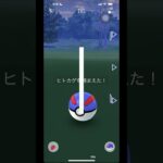 本当に確率UPしてるのか検証！ボックス整理の時間だ！【 ポケモンGO 】【 GOバトルリーグ 】【 GBL 】【 ポケモンデー 】