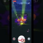 ポケモンgo シャドウヘイガニゲットチャレンジ　シャドウシザリガーへ進化