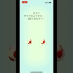 ポケモンgo 12キロタマゴガチャ 2連チャン　#pokemongo