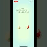 ポケモンgo 2キロタマゴと12キロタマゴガチャ