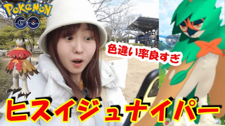 大満足 ヒスイジュナイパーレイドデイ ポケモンgo