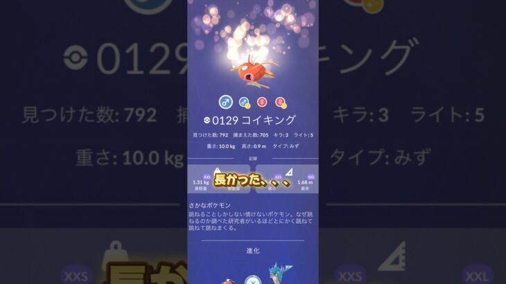 コイキング#ポケモンgo #ポケモンgo好きな人と繋がりたい #ポケモン #pokemon #pokemongo #ゲーム #ゲーム動画 ＃色違い