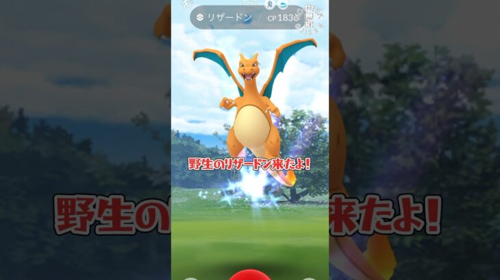 【リザードン！俺はサトシになる！】#ポケモンgo #ポケモン #pokémongo #pokémon #おもしろ動画 #shorts #ゲーム実況 #games #ゲーム配信 #楽しい#スマホ#サトシ